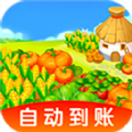 黄金菜园
