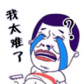 这题真难啊
