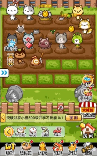猫咪种植园