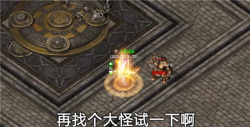 惊鸿沉默