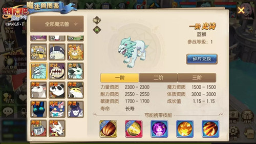 妖精的尾巴魔导士