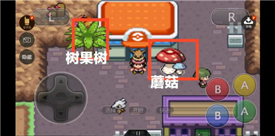 口袋妖怪伊布3.0